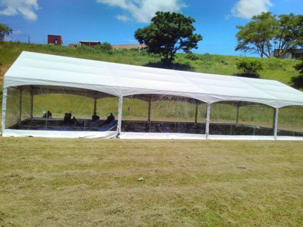 Large white pole tent with see through sides